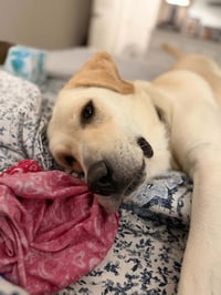 Mr. Tucker - Photo 2