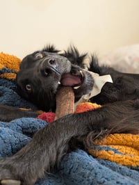 Walter McWoof - Photo 2