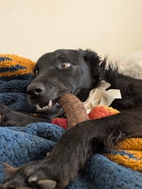 Walter McWoof - Photo 4