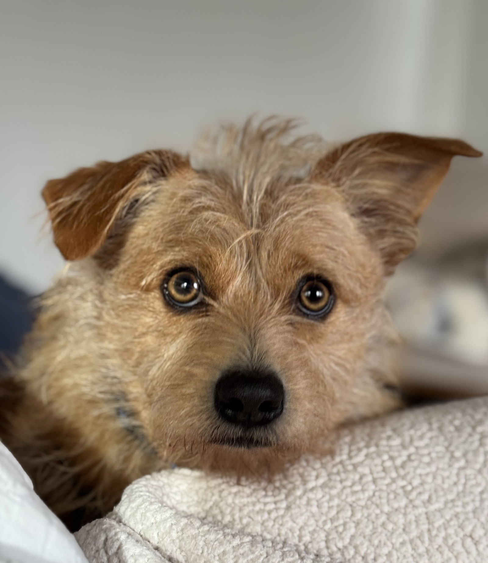 Diesel Styles - Photo 3