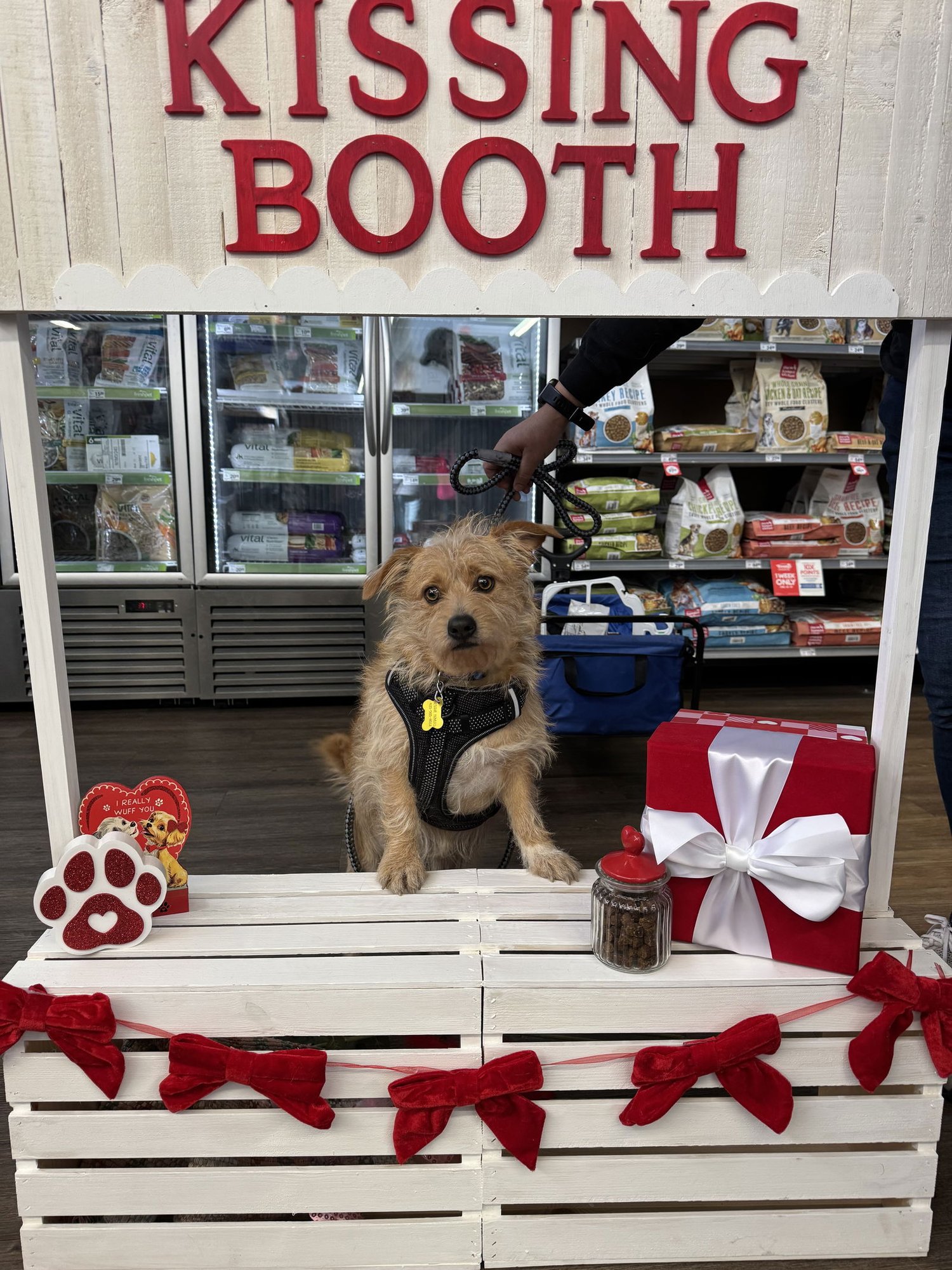 Diesel Styles - Photo 4