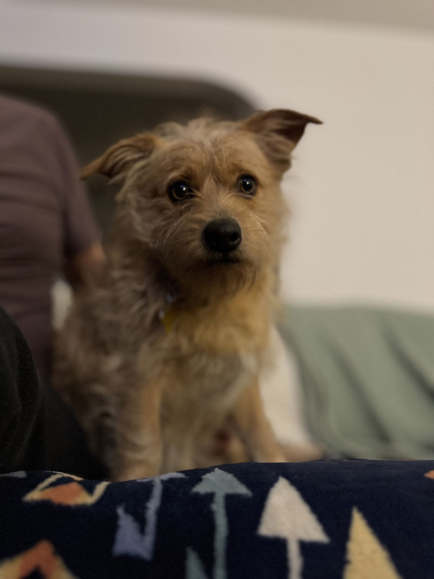 Diesel Styles - Photo 5