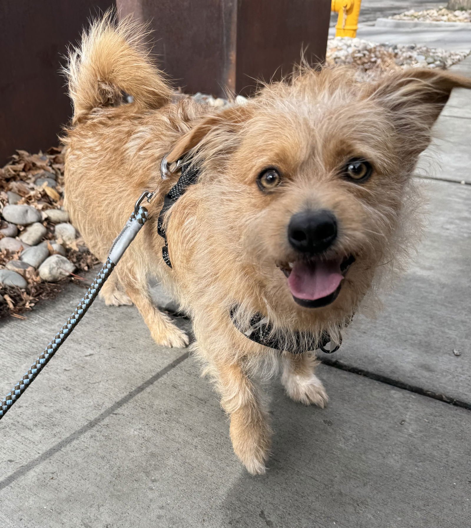 Diesel Styles - Photo 6