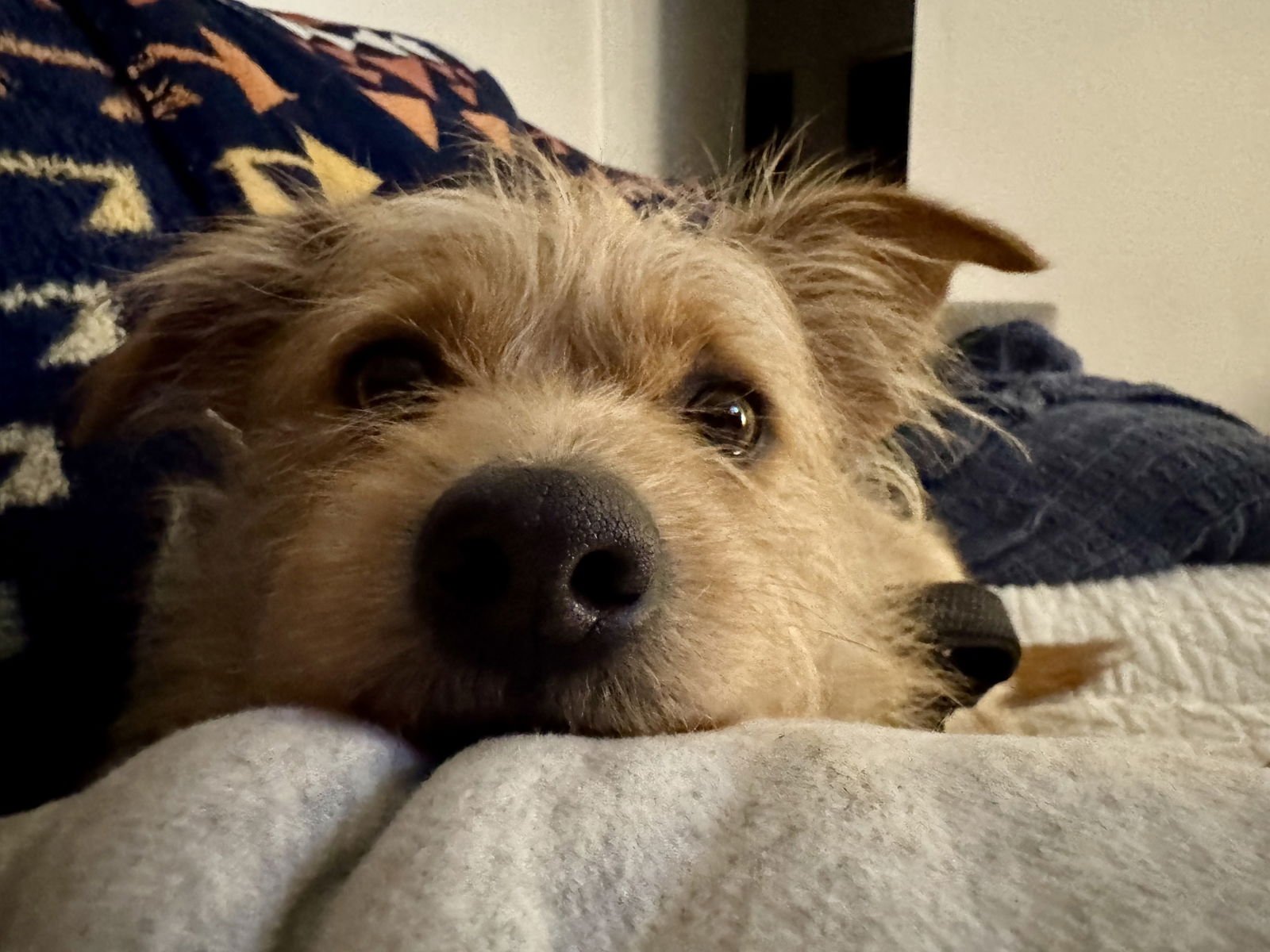 Diesel Styles - Photo 7