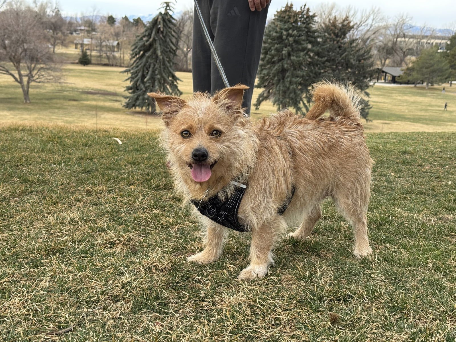 Diesel Styles - Photo 8