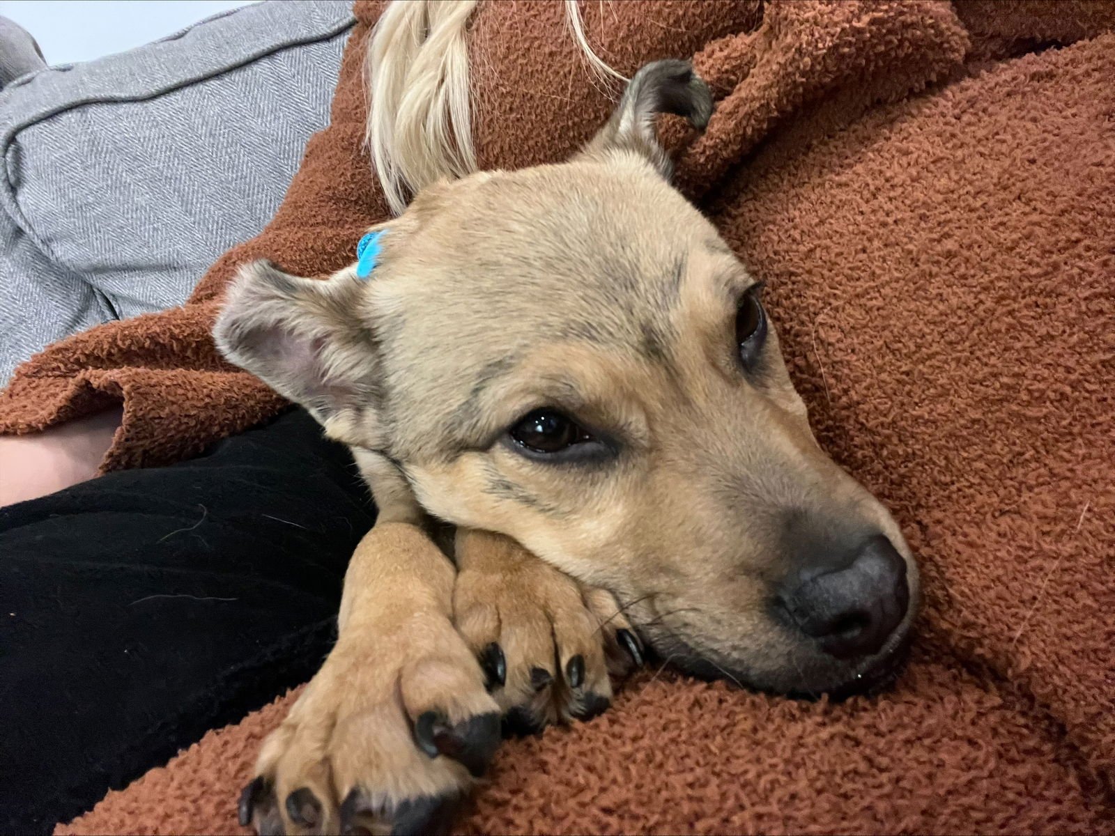 Joey Banana - Photo 5