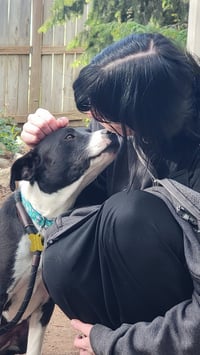 Bellareena - Photo 3