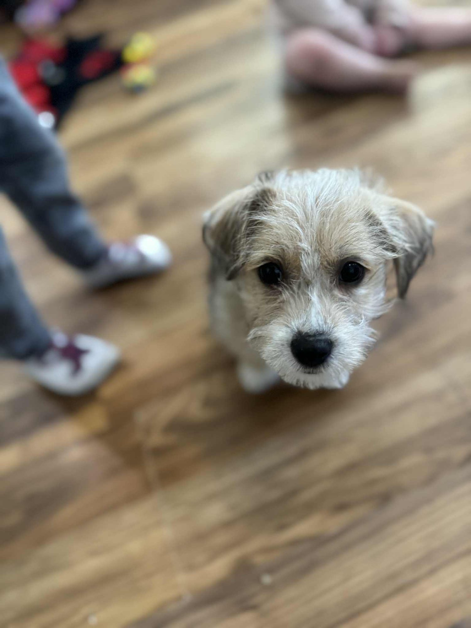 Mickey Scruff - Photo 5