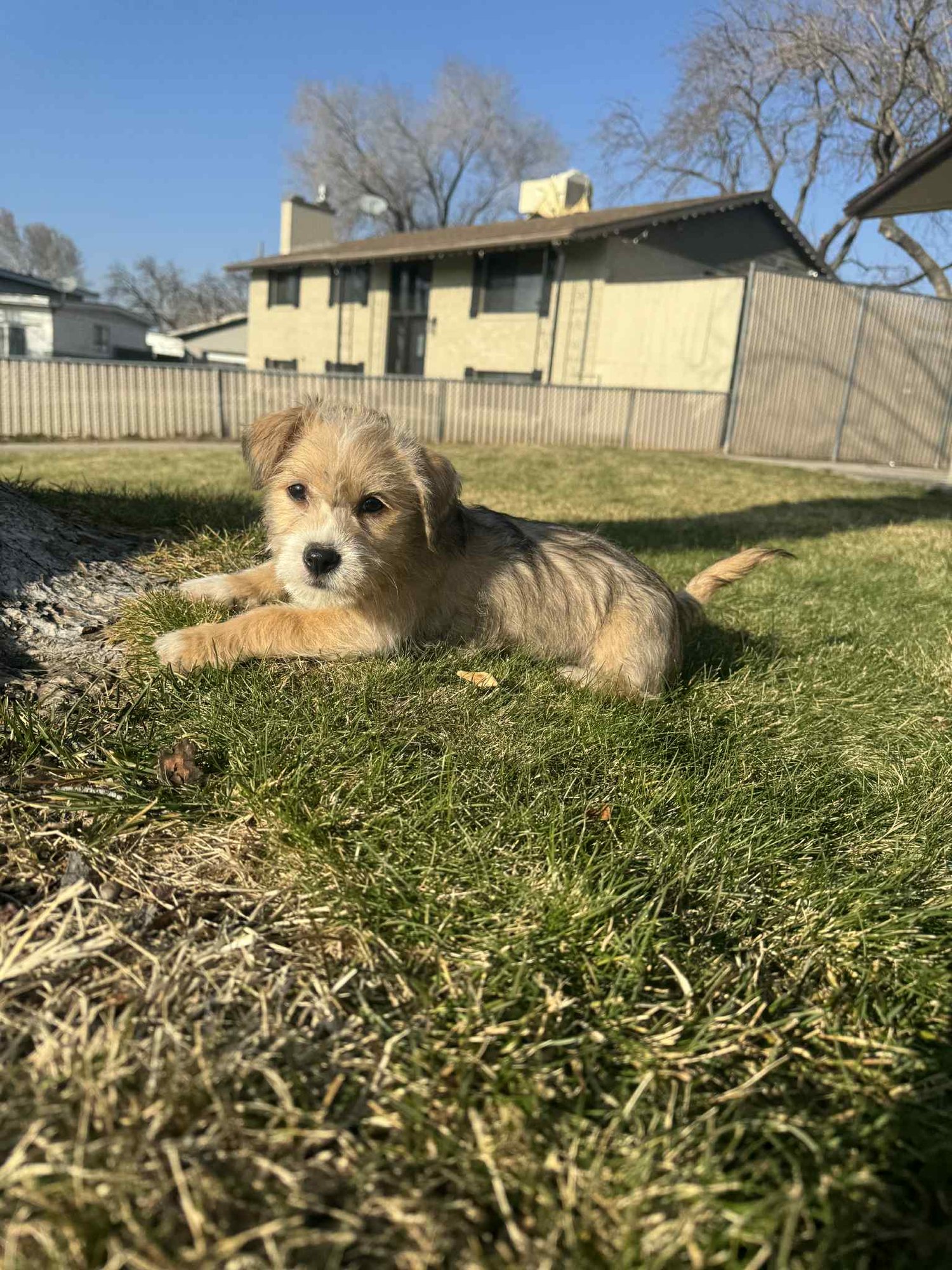 Mickey Scruff - Photo 7