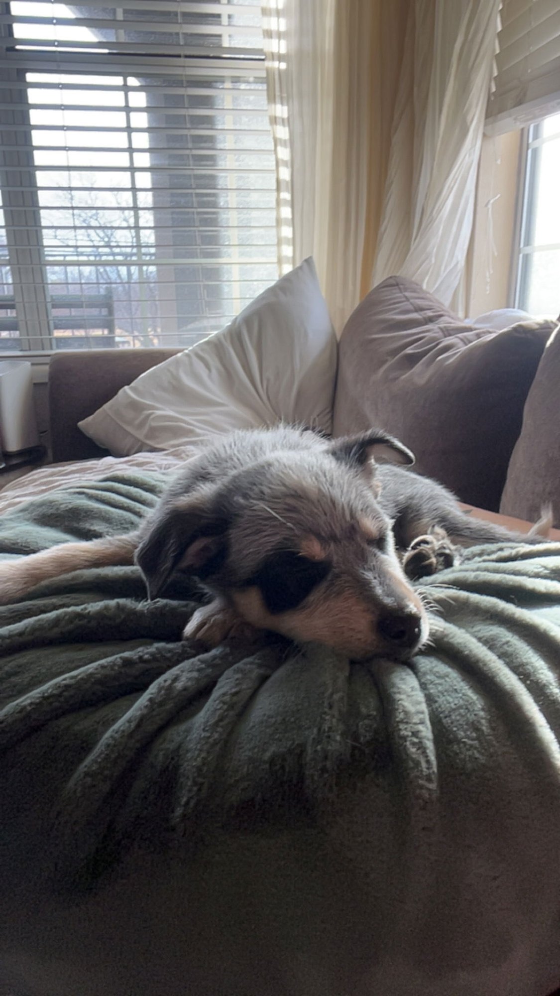 Baby Billy - Photo 5