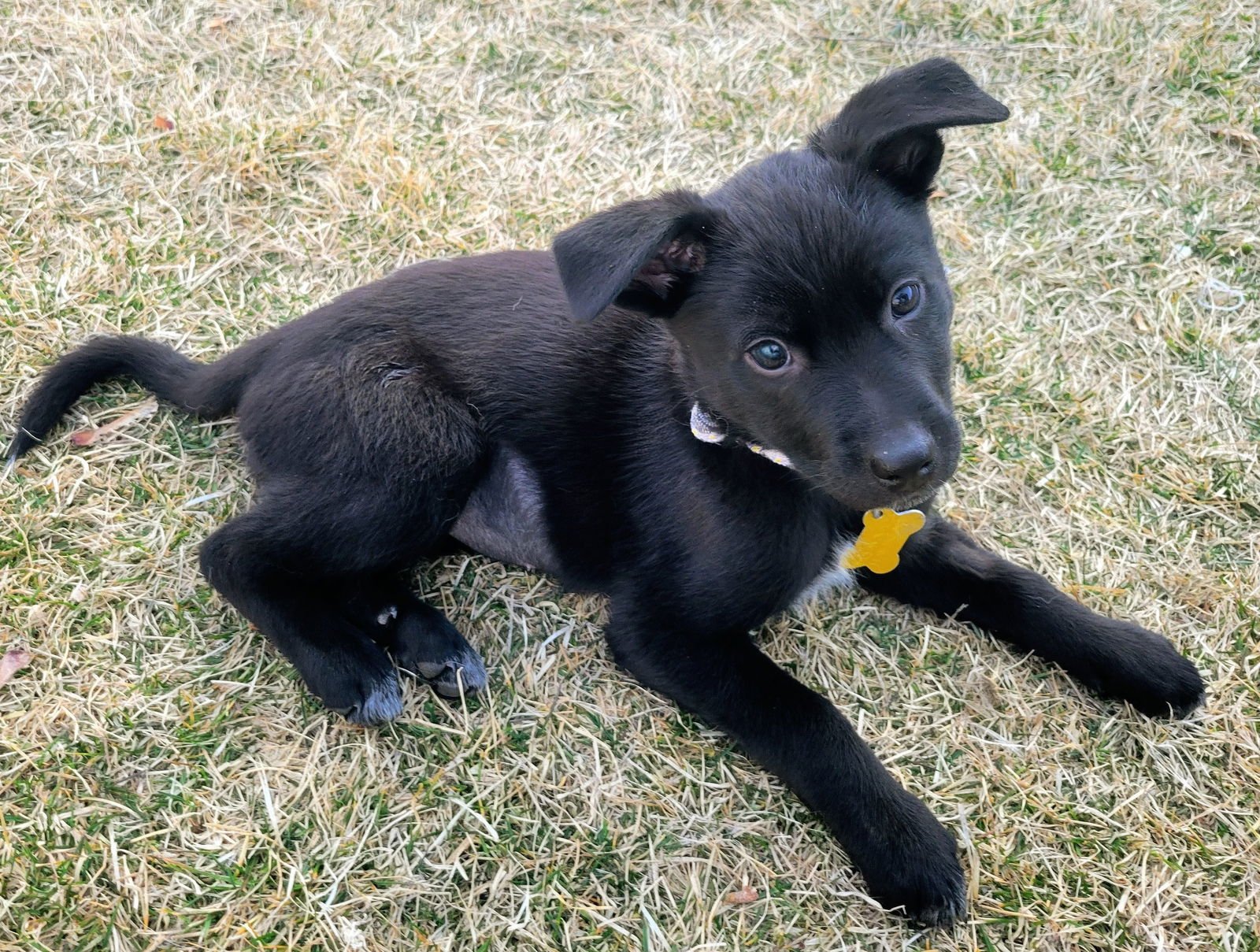 Ms. Rosie Posie - Photo 3