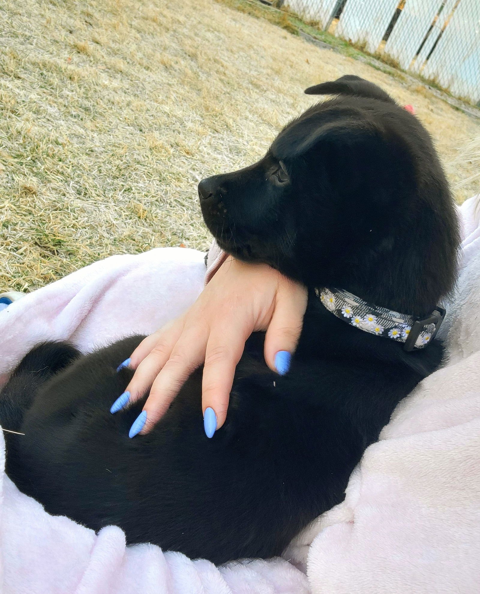 Ms. Rosie Posie - Photo 4