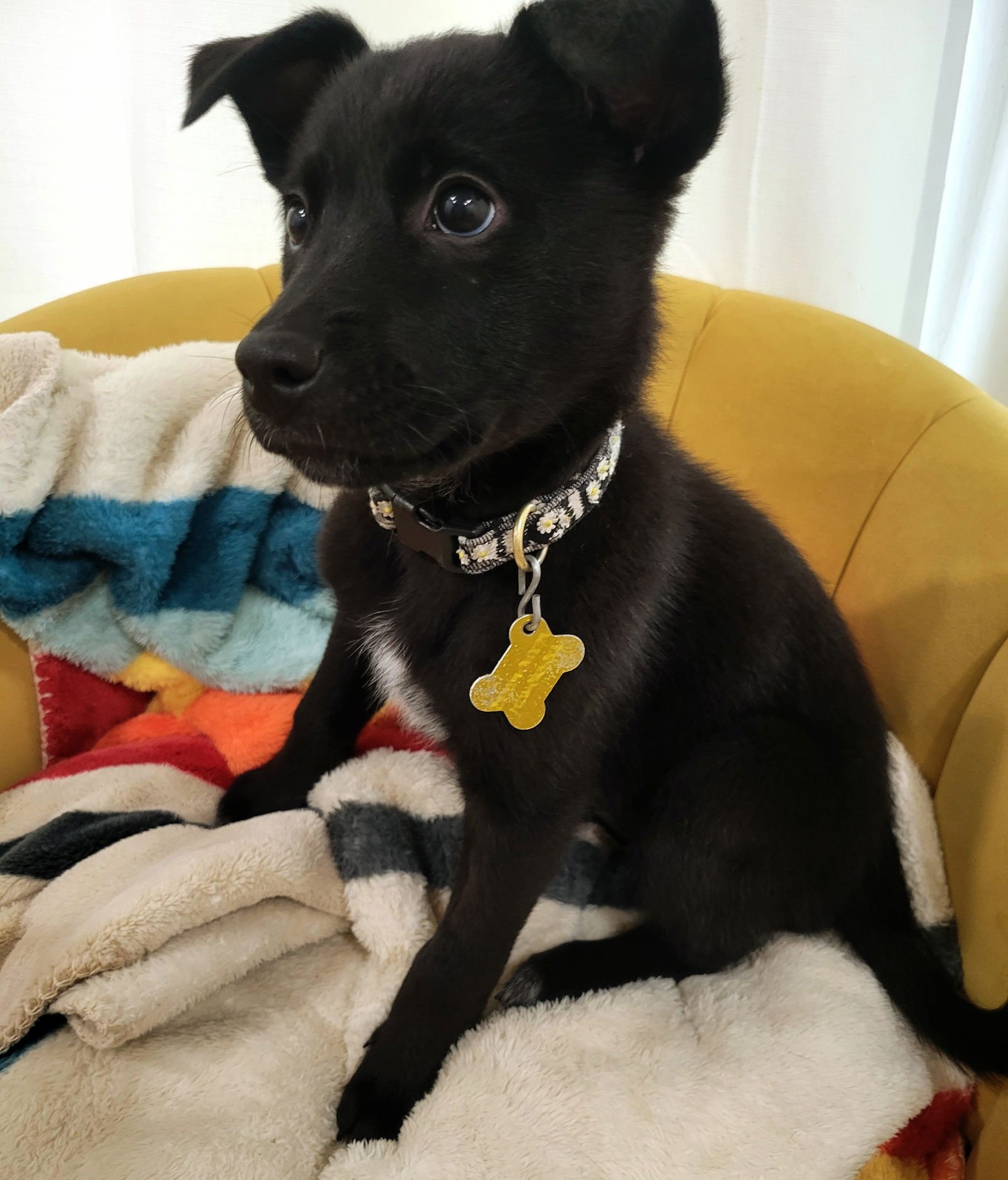 Ms. Rosie Posie - Photo 5