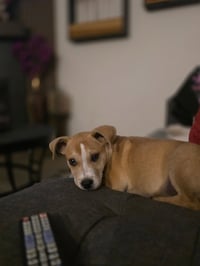 Noodles & Co - Photo 3