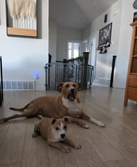 Noodles & Co - Photo 5