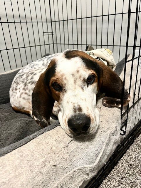 Sonny Earfax - Photo 3