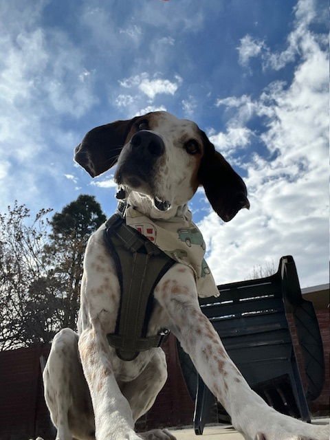 Sonny Earfax - Photo 4