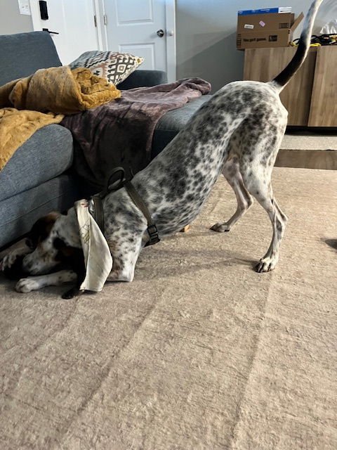 Sonny Earfax - Photo 5