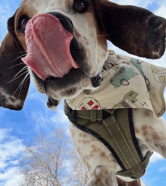 Sonny Earfax - Photo 6