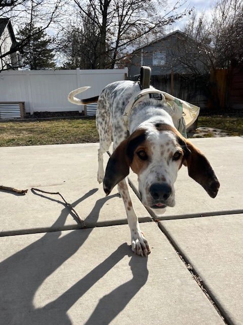 Sonny Earfax - Photo 7