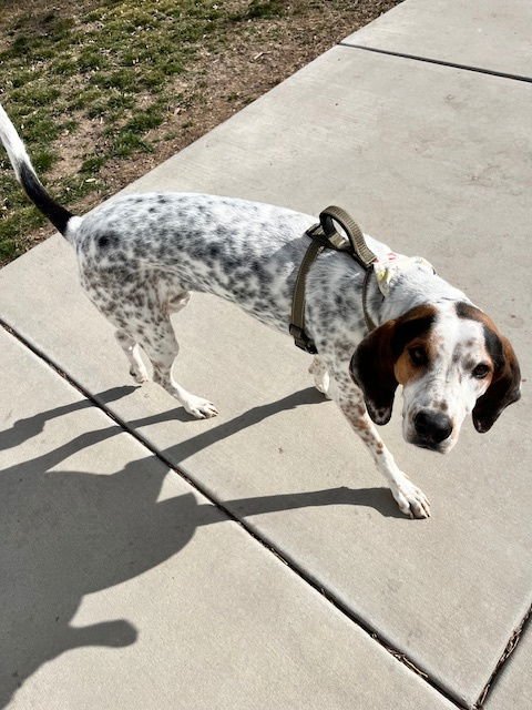 Sonny Earfax - Photo 8