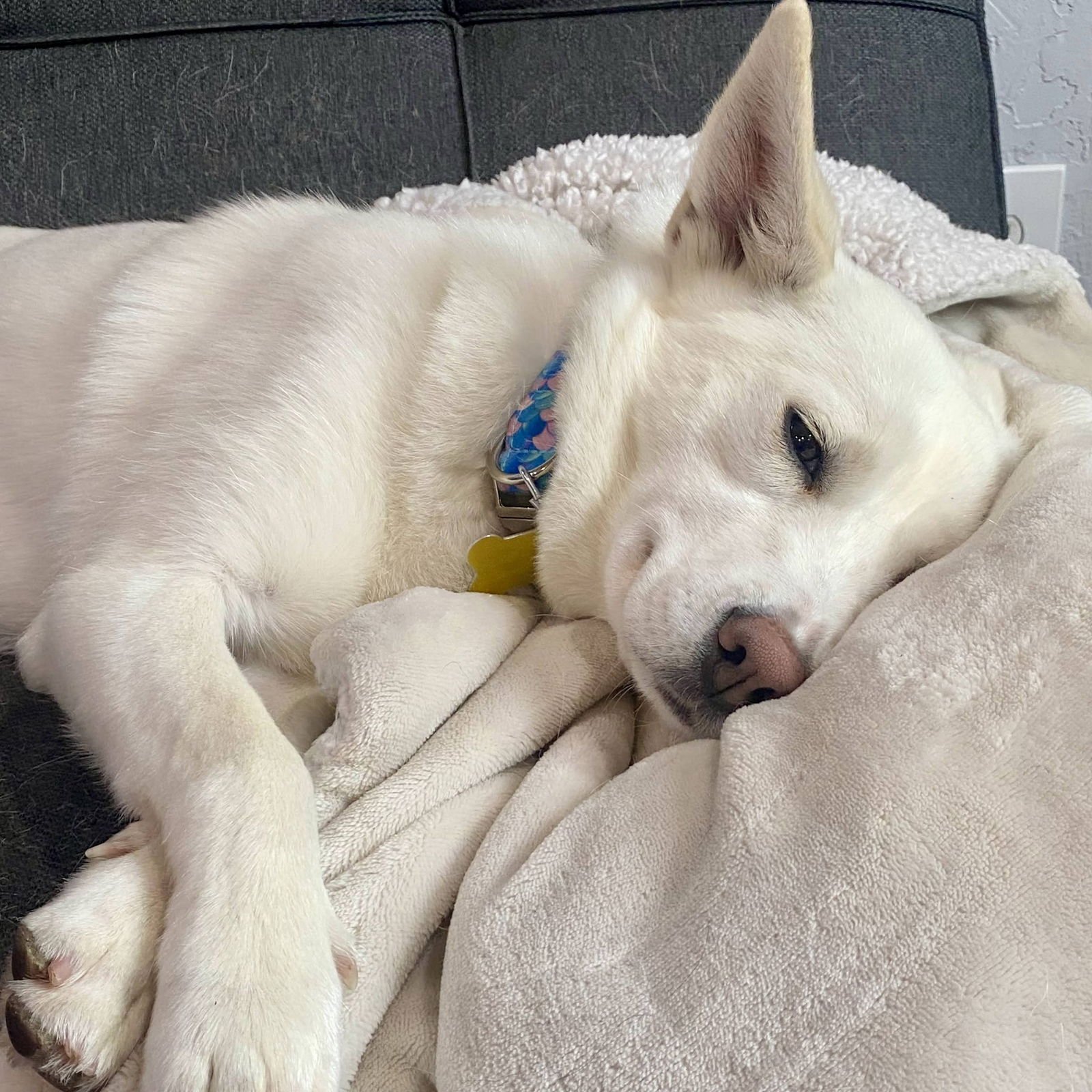 Pixie Stix - Photo 4