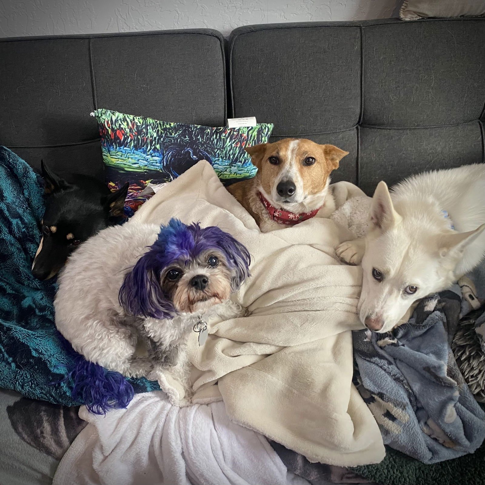 Pixie Stix - Photo 6