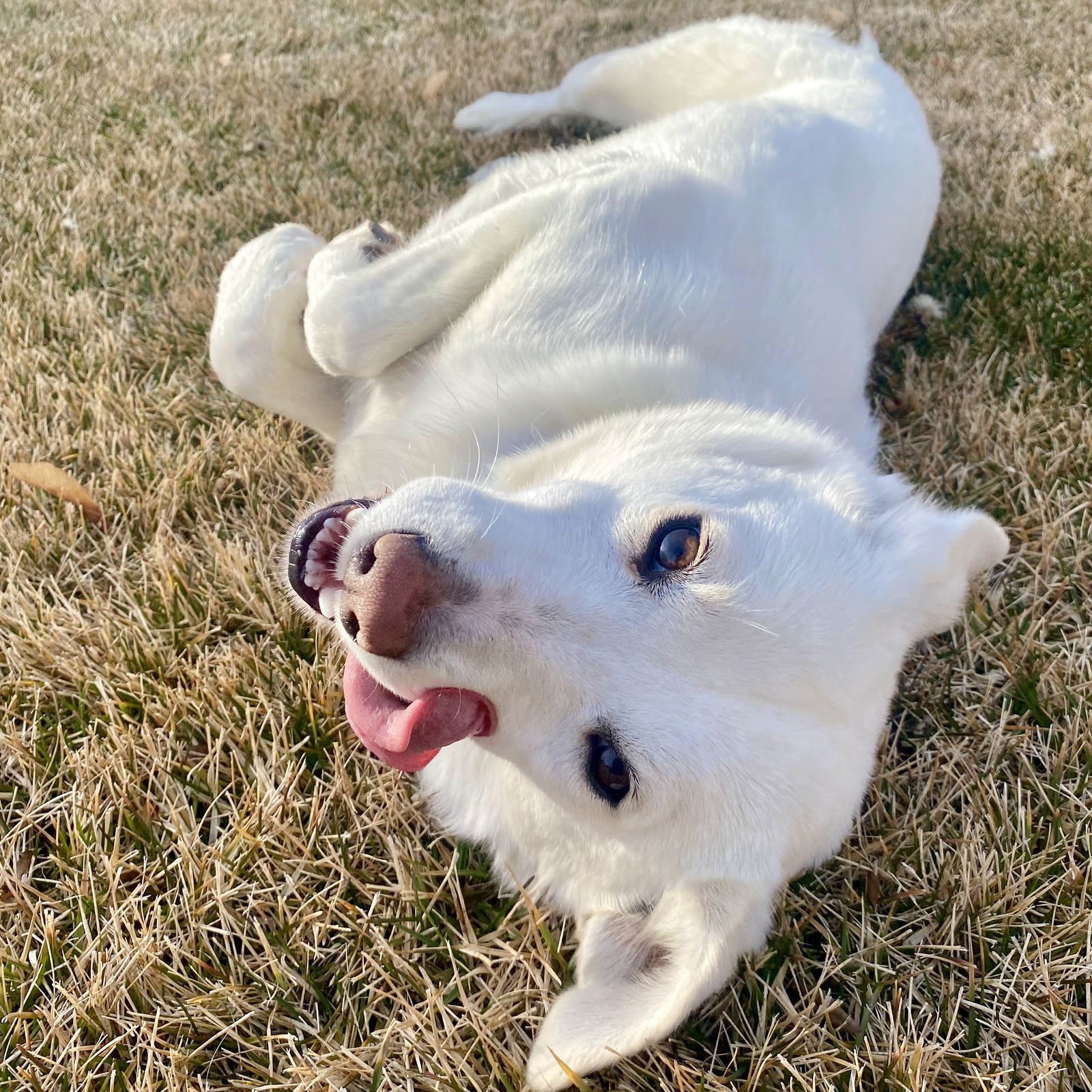 Pixie Stix - Photo 7