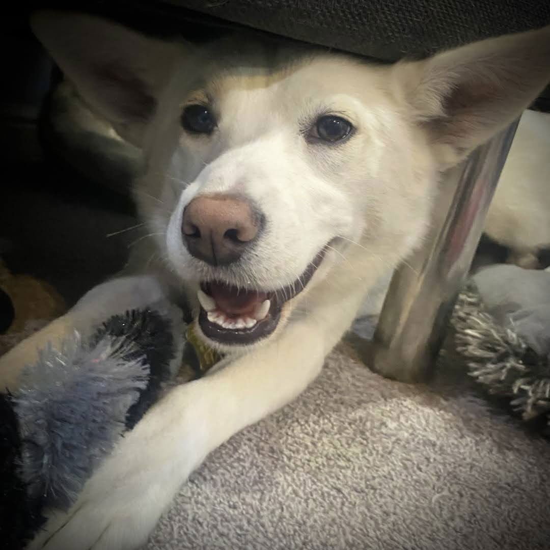 Pixie Stix - Photo 8