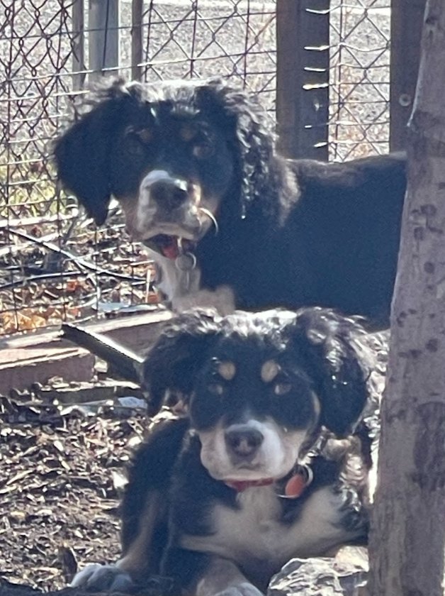 Butch Smudge Cassidy - Photo 7