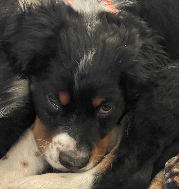 Butch Smudge Cassidy - Photo 8