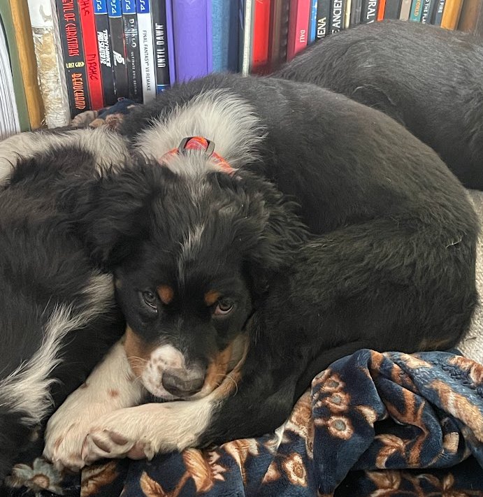 Butch Smudge Cassidy - Photo 10