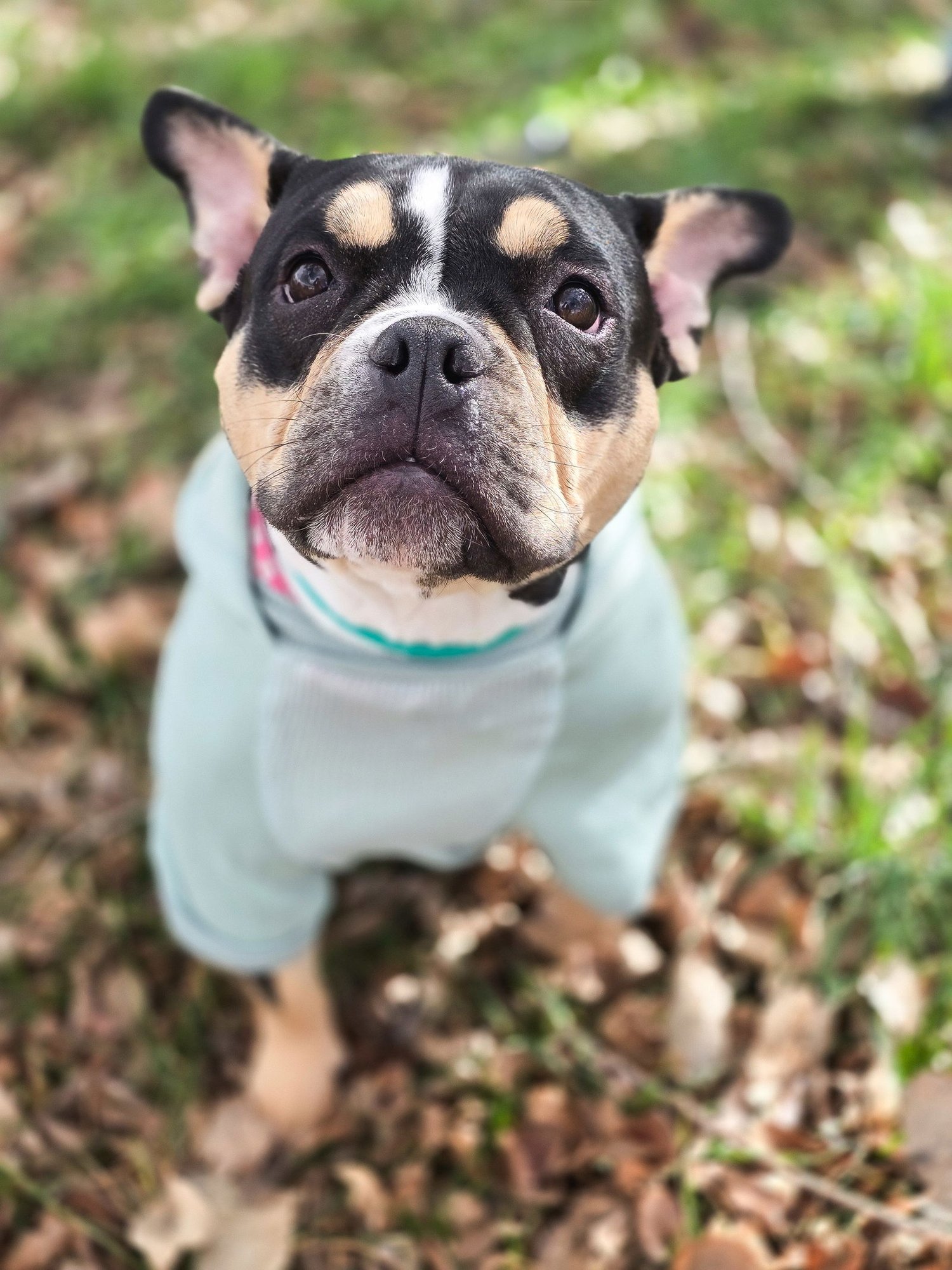 Purdy Girl - Photo 11