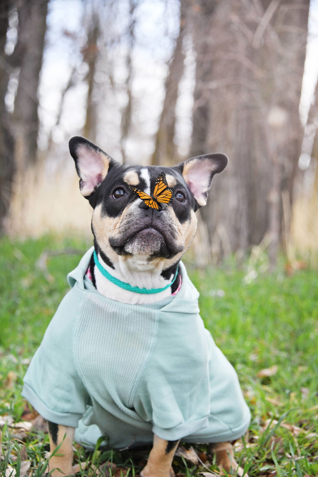 Purdy Girl - Photo 3