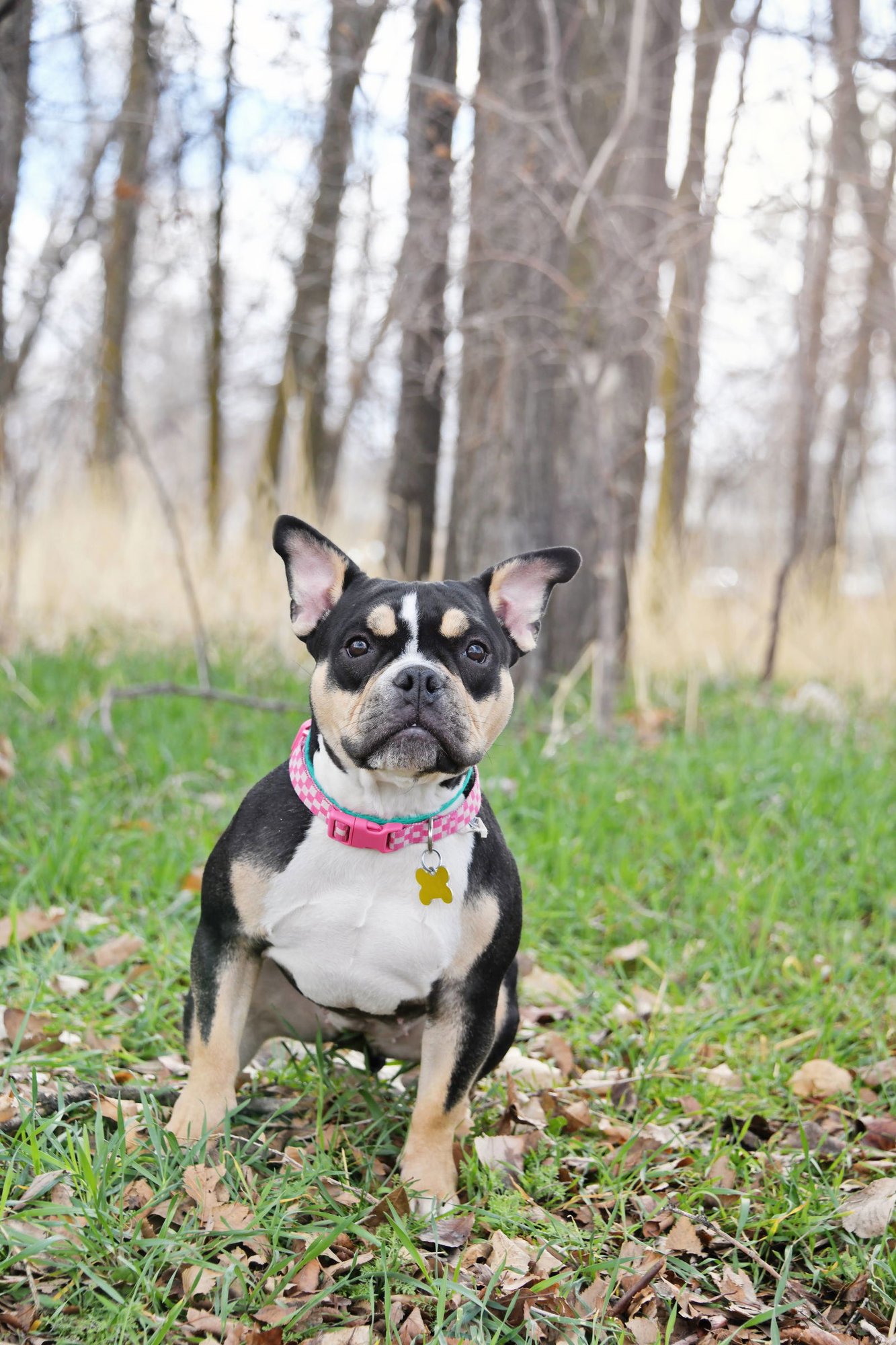 Purdy Girl - Photo 4