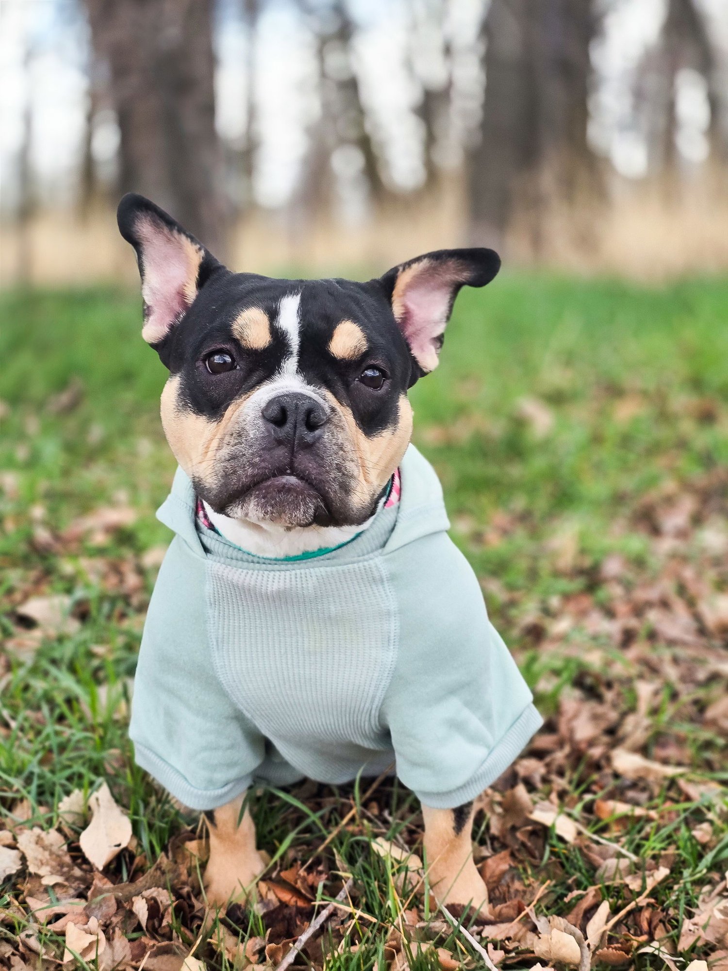 Purdy Girl - Photo 5