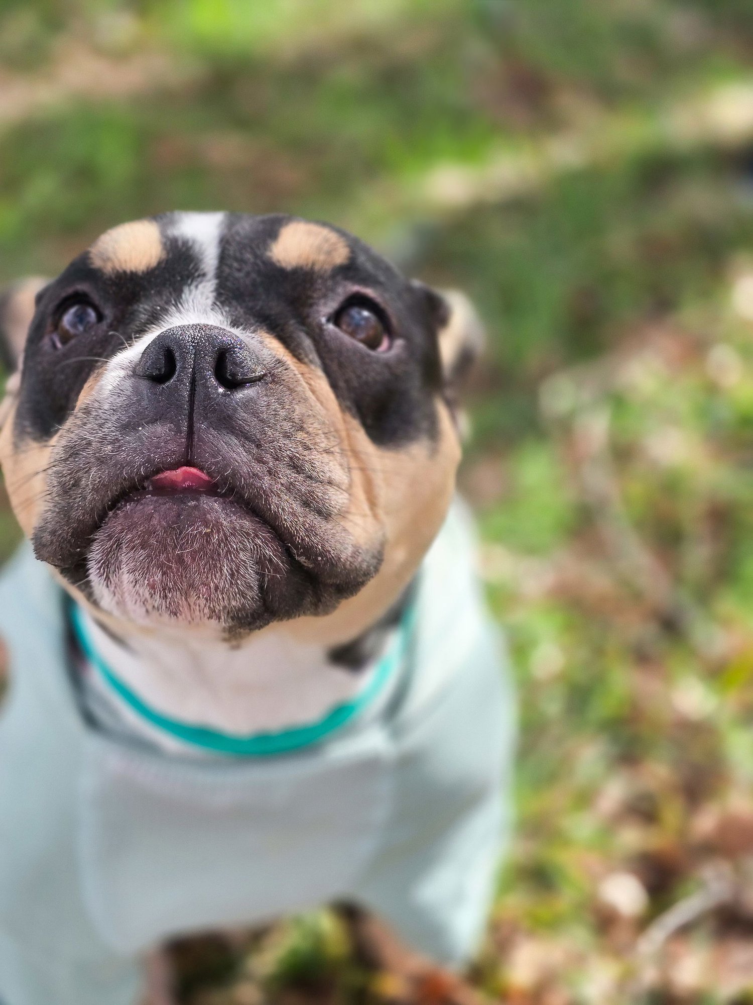 Purdy Girl - Photo 7