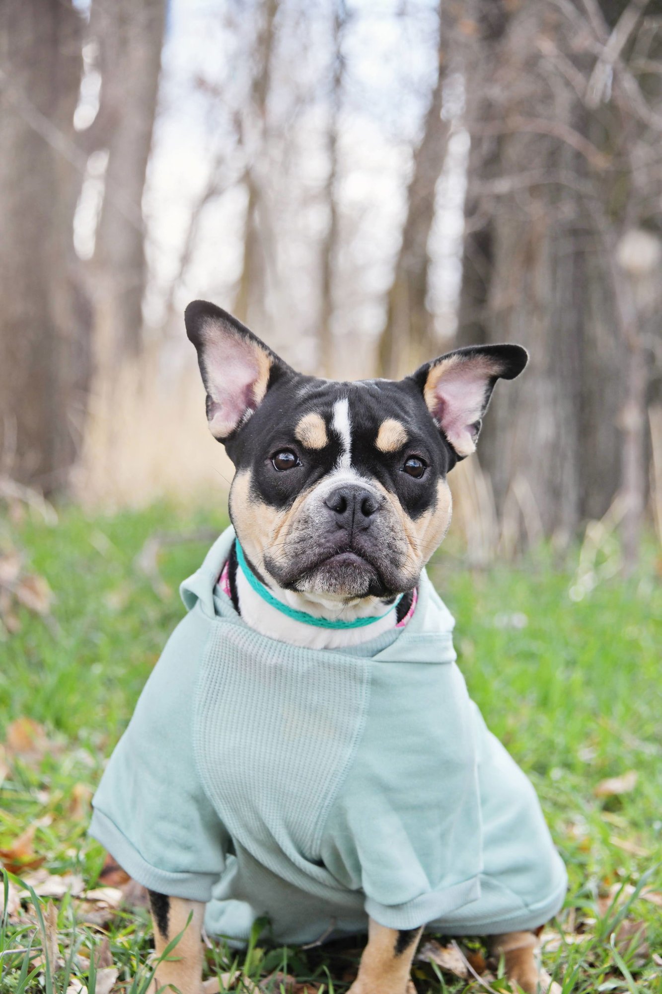 Purdy Girl - Photo 10