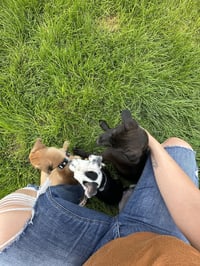 Begs - Photo 5
