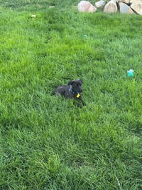 Begs - Photo 10