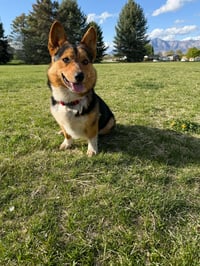 Reese's Puffs - Photo 3