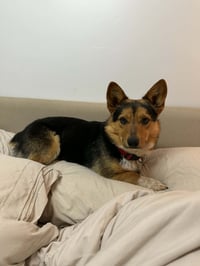 Reese's Puffs - Photo 4