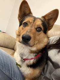 Reese's Puffs - Photo 6