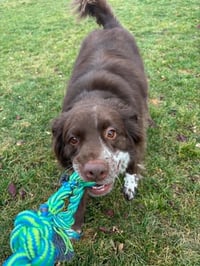 Jazzper - Photo 11