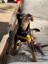 Spock Kirk - Photo 1