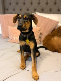 Spock Kirk - Photo 4