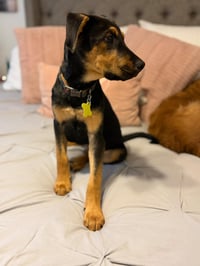 Spock Kirk - Photo 7