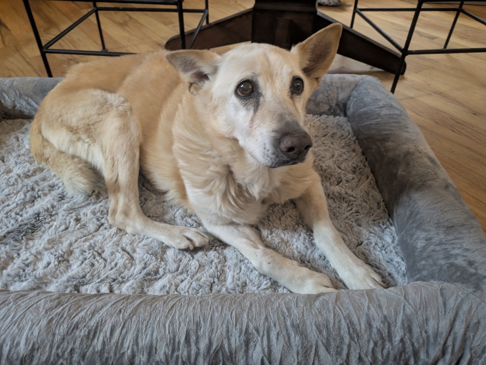 Miss Mayze - Photo 4