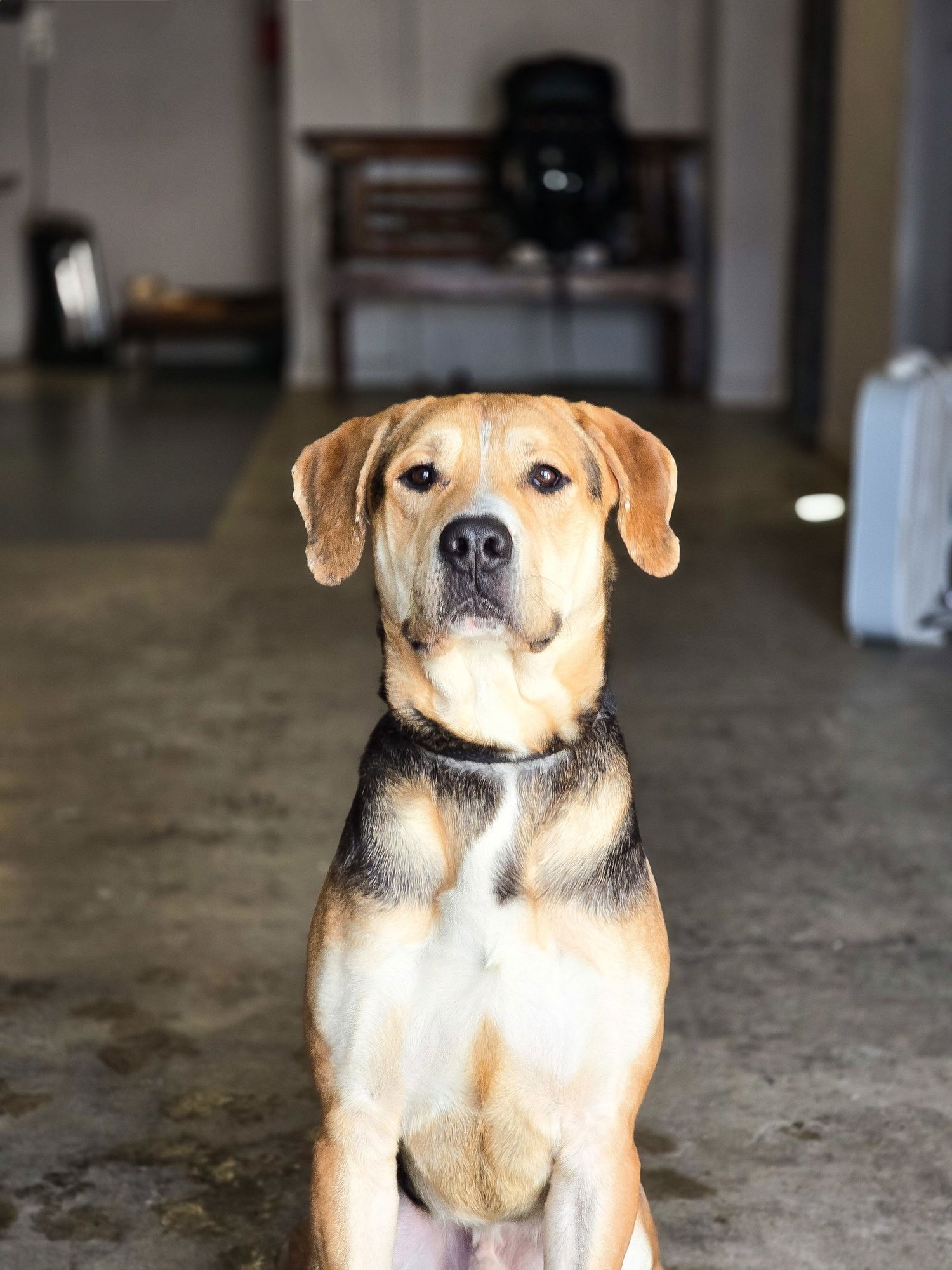 Sir Tanner - Photo 7