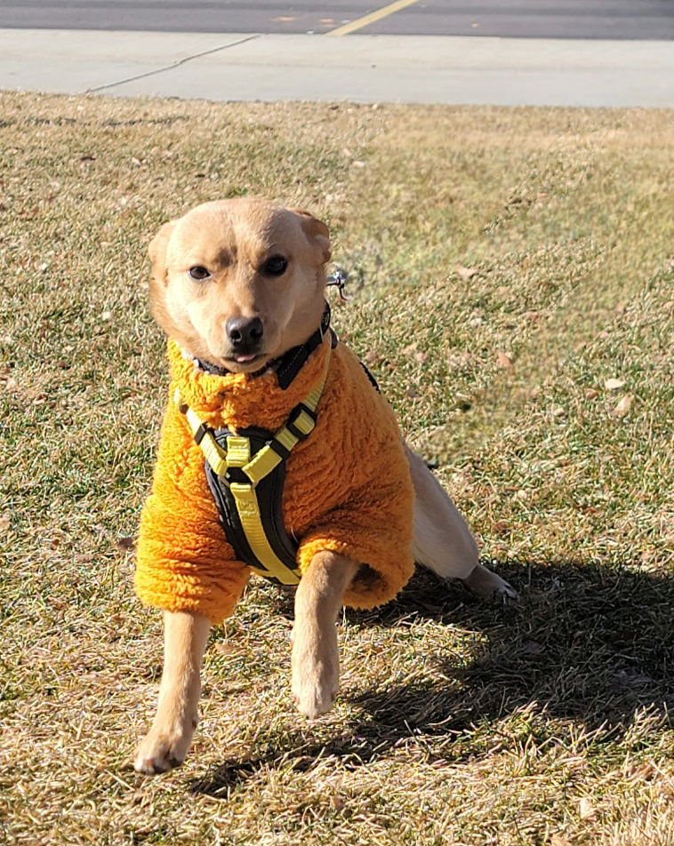 Jackson Tripper - Photo 5